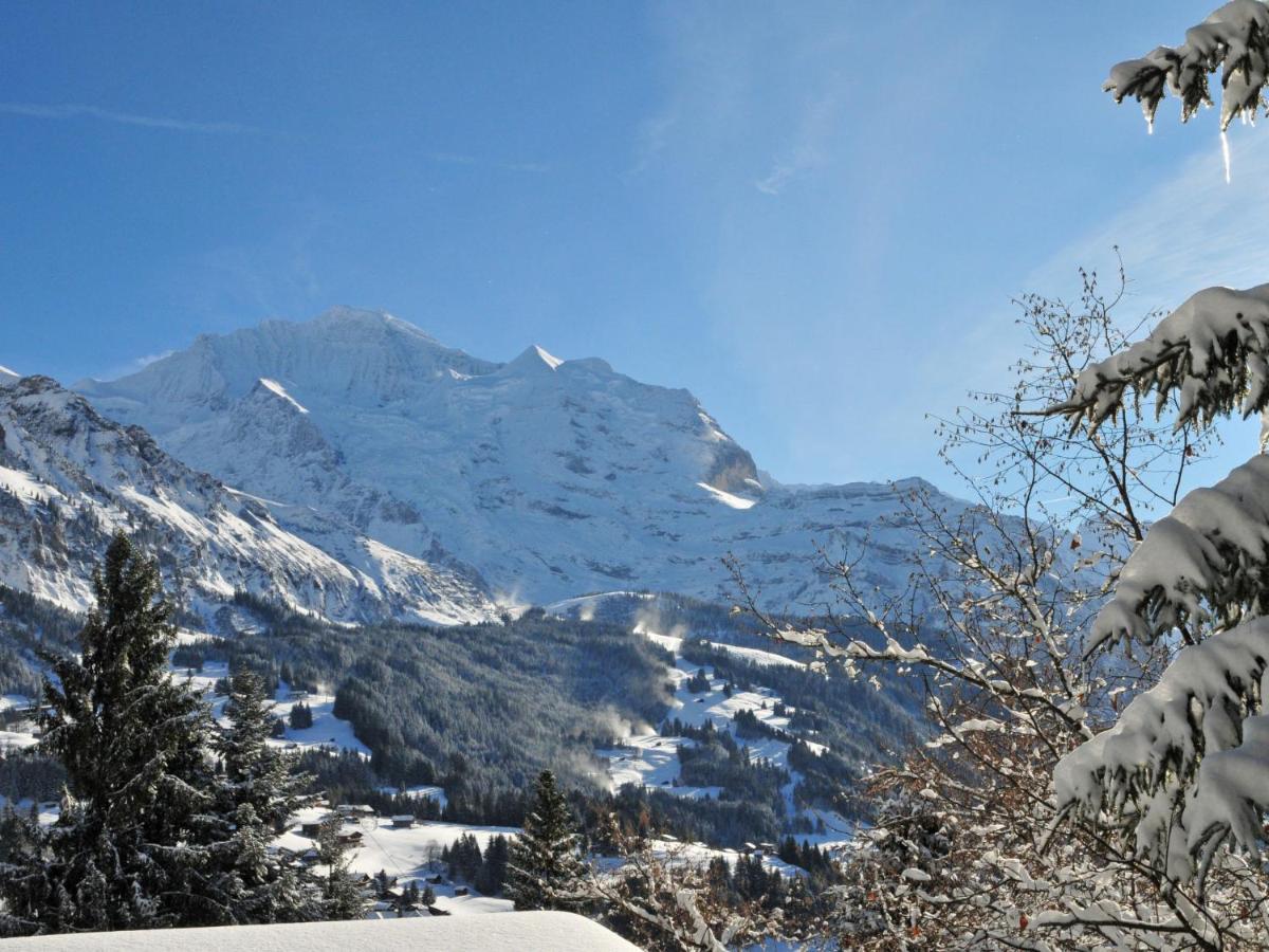 Apartment Rose Studio Y By Interhome Wengen Dış mekan fotoğraf